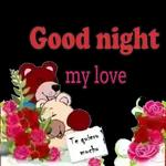 good night 🌉 pic