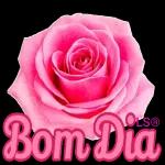 flowers, hope you like them!