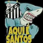 amostradinho 