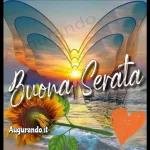Buona serata