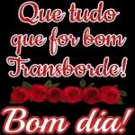 Feliz 