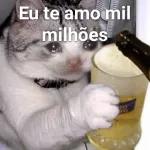 Boa
tarde