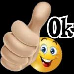 FALO NADA SÓ OBSERVO 