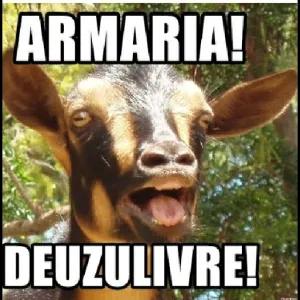 dCKnai