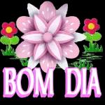 pacote de figurinhas