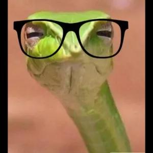l8n1tw