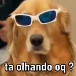 só animais 😂