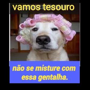 stEacd