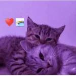 pra ti mi amor♥♥