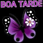  quero todas