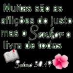  Bom Dia!