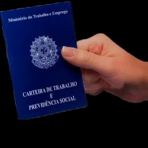 Ministério do Trabalho e Emprego CARTEIRA DE TRABALHO E PREVIDÊNCIA SOCIAL TOMA TEU PIX - getsticker.com