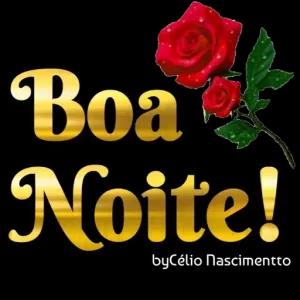 Boa Noite! byCélio nascimentto - getsticker.com