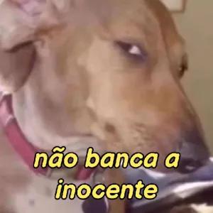 não banca a inocente - getsticker.com