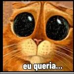 responder