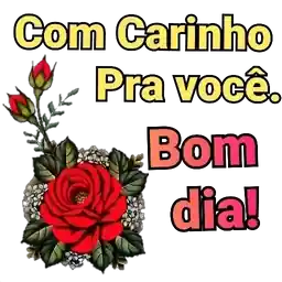 bom dia