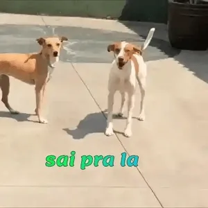 f1ZXoa