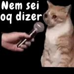 SEU ANJO CHEGOU 