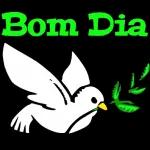 boa noit
