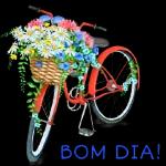 Feliz Quinta Feira