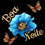 Boa noite~