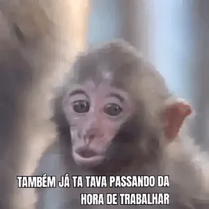 jO1yTm