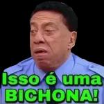 MANDA ÁUDIO ADORO OUVIR SUA VOZ