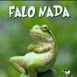 BORA... EU PAGO À TRÊS.