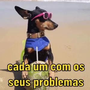 cada um com os seus problemas - getsticker.com