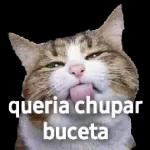 safadeza 
