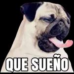 Que no verga entiende!