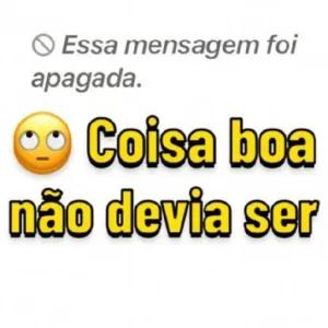 Essa mensagem foi apagada. Coisa boa não devia ser - getsticker.com