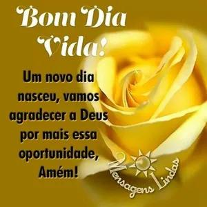 Bom Dia Vida! Um novo dia nasceu, vamos agradecer a Deus por mais essa oportunidade, Amém! Pensagens Lindas - getsticker.com