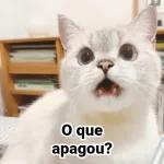 apagou porque 