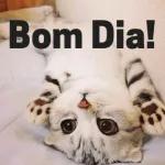  8
Bom
dia