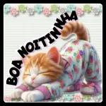 Boa noite! Tá gelado