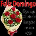 Feliz Domingo🌹