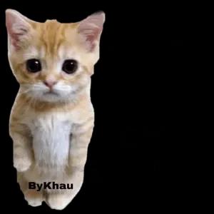 Tô COM SAUDADES ByKhau - getsticker.com