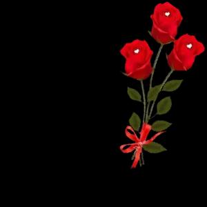 Feliz dia da Mulher  - getsticker.com