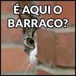 Bom dia