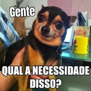 QqRNub