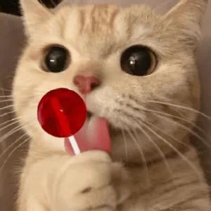 getsticker.com