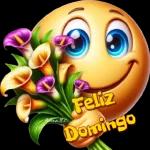 bom dia,domingo
