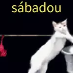 animadas