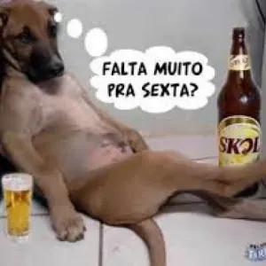 4knv0h