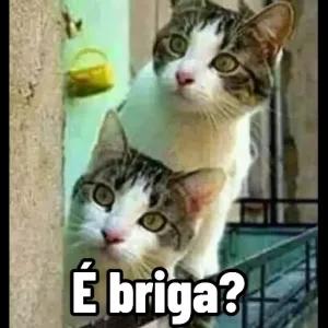 É briga? - getsticker.com