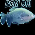peixe 