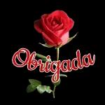 obgd