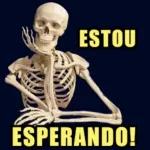ESTOU ESPERANDO!
