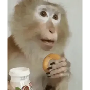 hmTMRy